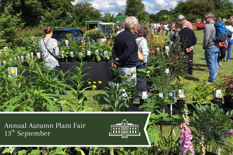plant fair