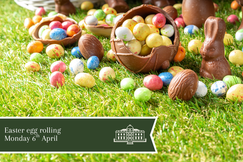 eggs in basket in garden